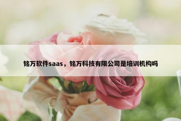 铭万软件saas，铭万科技有限公司是培训机构吗