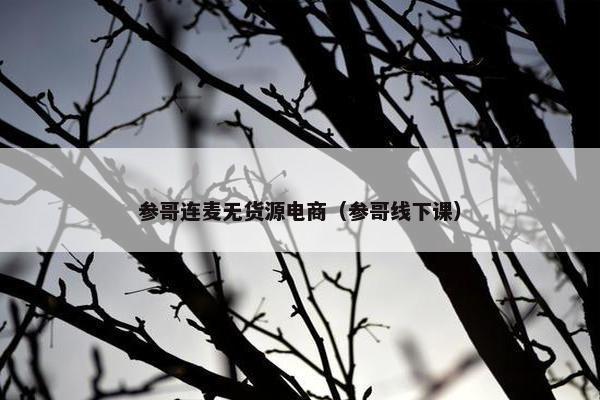 参哥连麦无货源电商（参哥线下课）