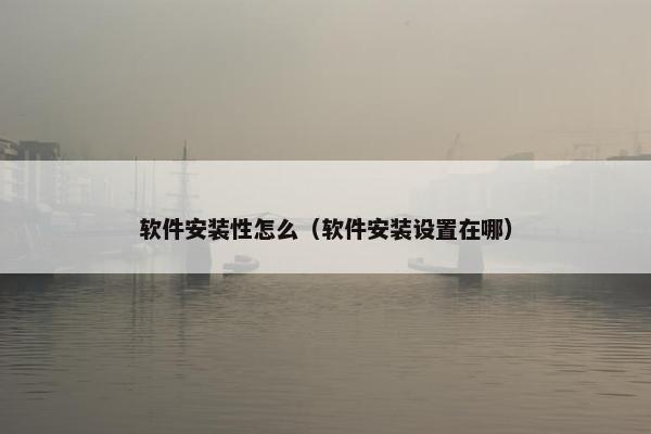 软件安装性怎么（软件安装设置在哪）