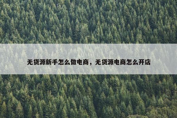 无货源新手怎么做电商，无货源电商怎么开店