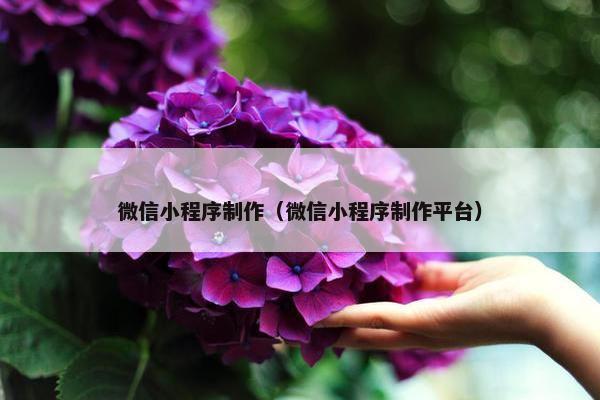 微信小程序制作（微信小程序制作平台）