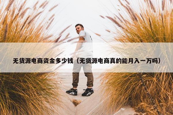 无货源电商资金多少钱（无货源电商真的能月入一万吗）