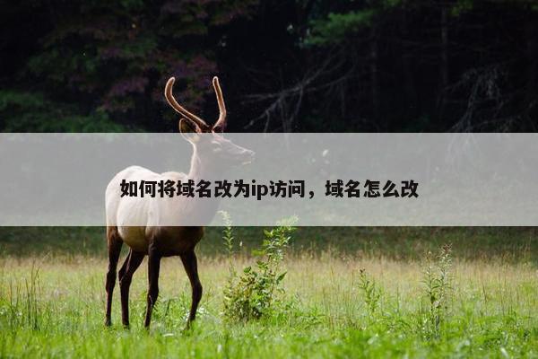 如何将域名改为ip访问，域名怎么改