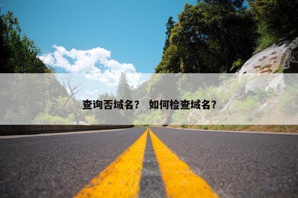 查询否域名？ 如何检查域名？