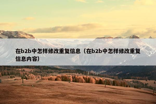在b2b中怎样修改重复信息（在b2b中怎样修改重复信息内容）