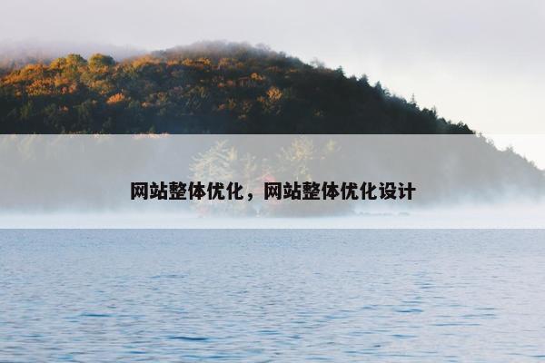 网站整体优化，网站整体优化设计