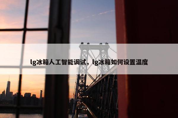 lg冰箱人工智能调试，lg冰箱如何设置温度