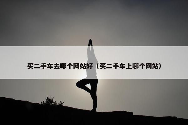 买二手车去哪个网站好（买二手车上哪个网站）