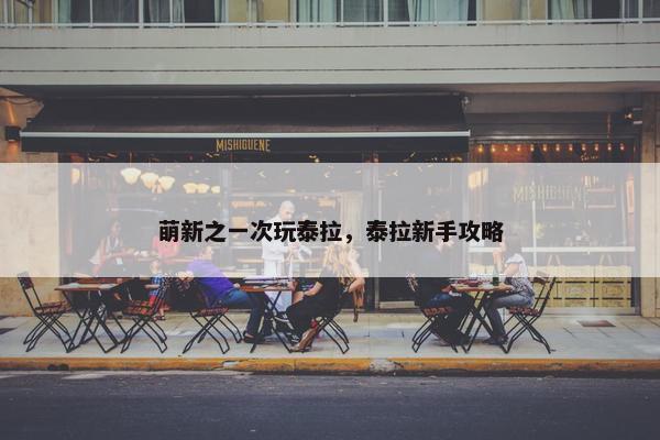 萌新之一次玩泰拉，泰拉新手攻略