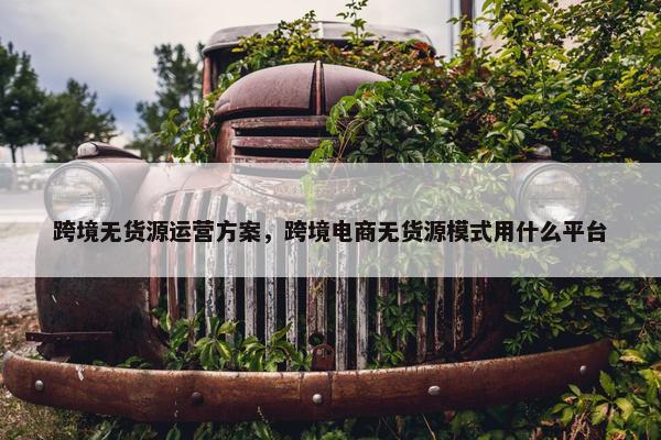 跨境无货源运营方案，跨境电商无货源模式用什么平台