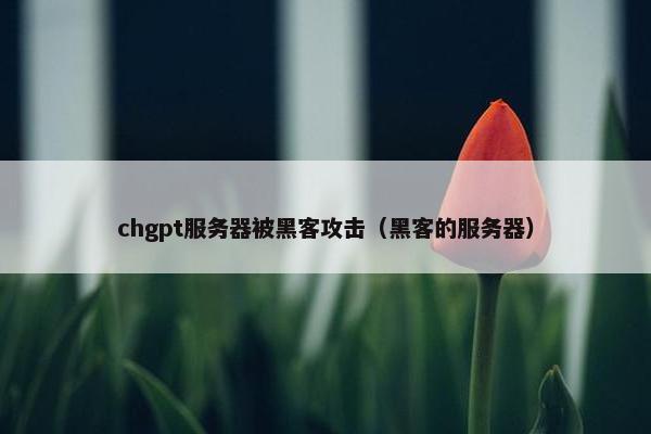 chgpt服务器被黑客攻击（黑客的服务器）