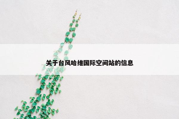 关于台风哈维国际空间站的信息