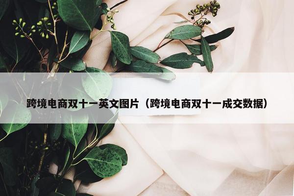 跨境电商双十一英文图片（跨境电商双十一成交数据）