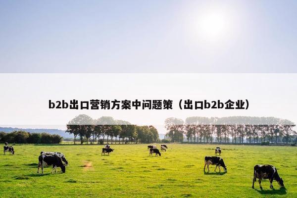 b2b出口营销方案中问题策（出口b2b企业）