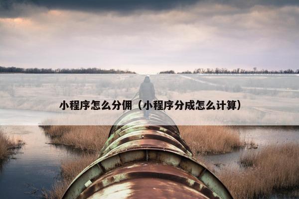 小程序怎么分佣（小程序分成怎么计算）