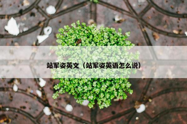 站军姿英文（站军姿英语怎么说）