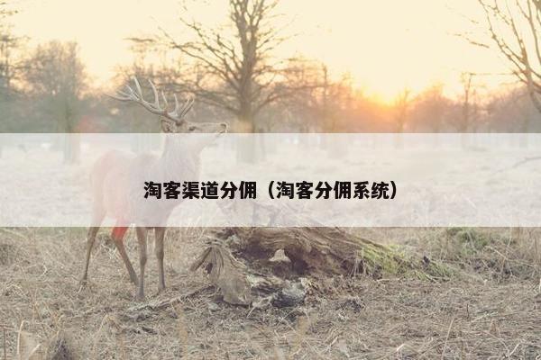 淘客渠道分佣（淘客分佣系统）