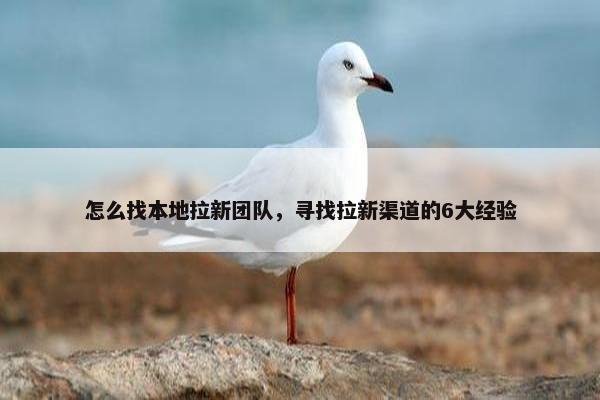 怎么找本地拉新团队，寻找拉新渠道的6大经验