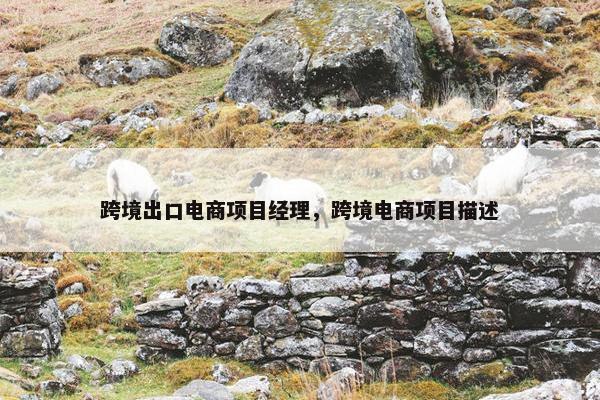 跨境出口电商项目经理，跨境电商项目描述