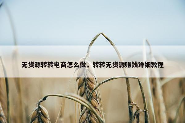 无货源转转电商怎么做，转转无货源赚钱详细教程