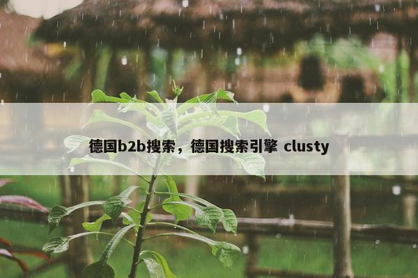 德国b2b搜索，德国搜索引擎 clusty