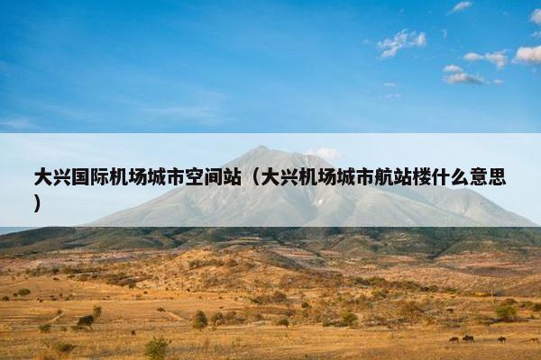 大兴国际机场城市空间站（大兴机场城市航站楼什么意思）