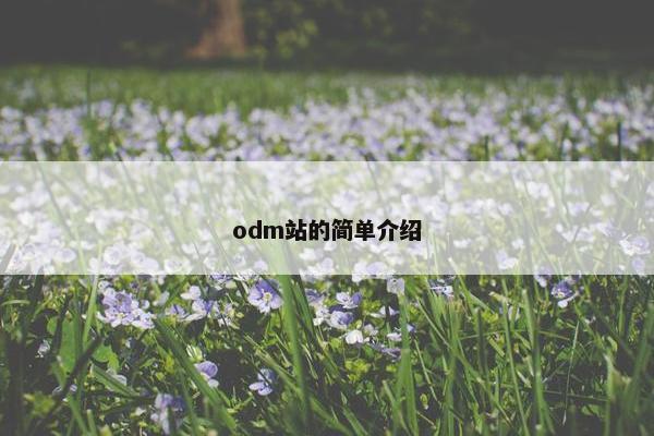 odm站的简单介绍
