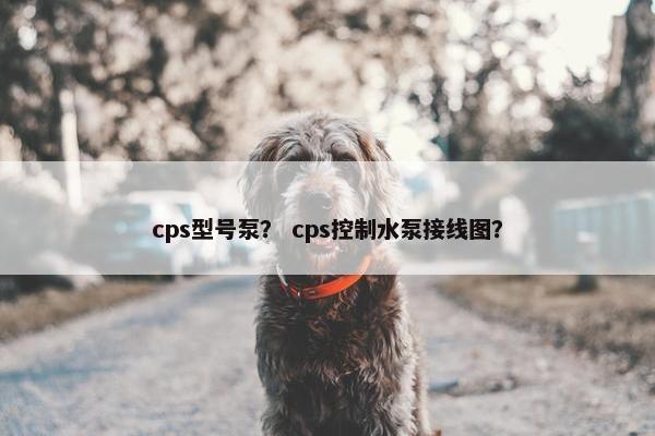 cps型号泵？ cps控制水泵接线图？