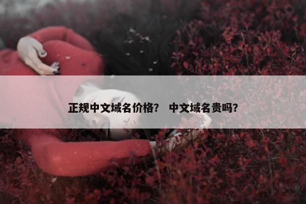 正规中文域名价格？ 中文域名贵吗？