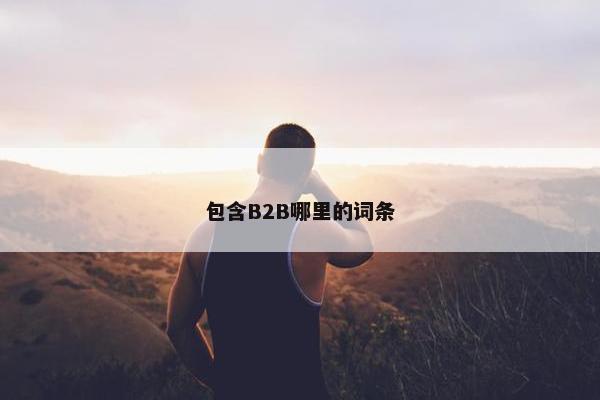 包含B2B哪里的词条