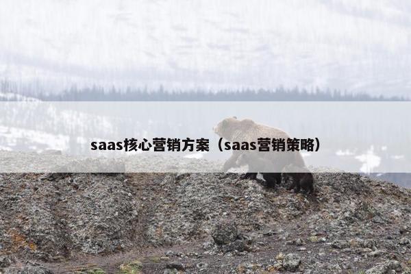 saas核心营销方案（saas营销策略）