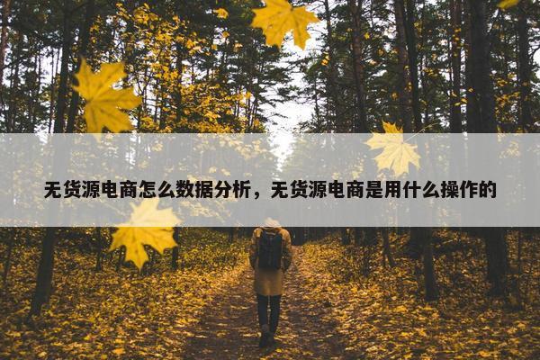 无货源电商怎么数据分析，无货源电商是用什么操作的