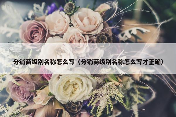 分销商级别名称怎么写（分销商级别名称怎么写才正确）