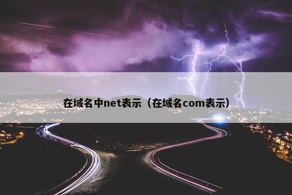 在域名中net表示（在域名com表示）