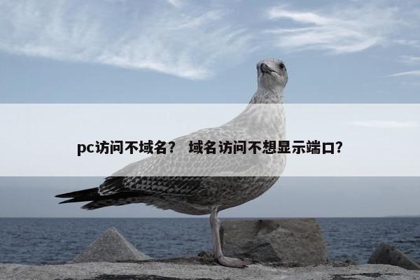 pc访问不域名？ 域名访问不想显示端口？
