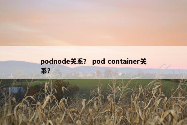 podnode关系？ pod container关系？