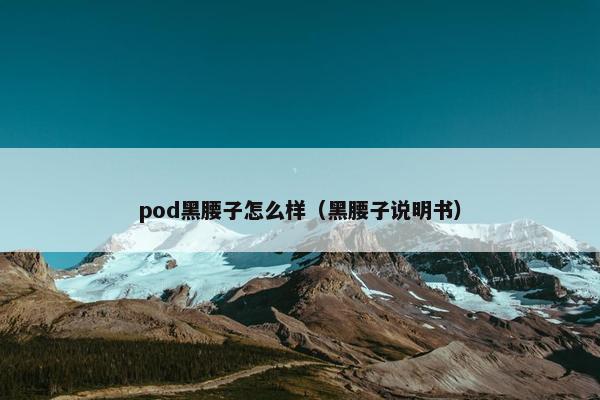 pod黑腰子怎么样（黑腰子说明书）