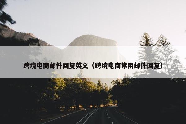 跨境电商邮件回复英文（跨境电商常用邮件回复）