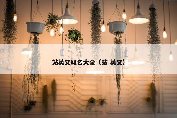 站英文取名大全（站 英文）