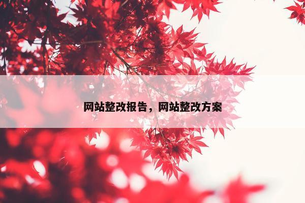 网站整改报告，网站整改方案