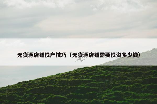 无货源店铺投产技巧（无货源店铺需要投资多少钱）