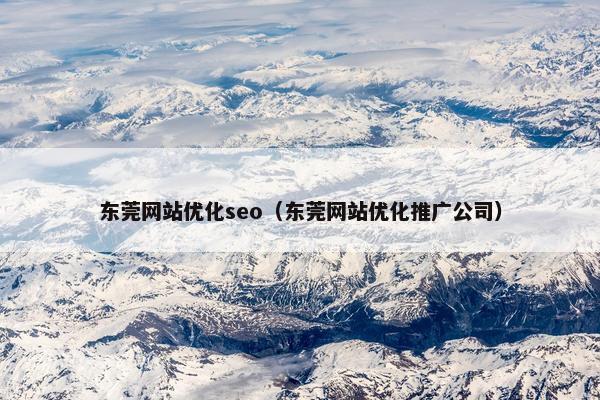 东莞网站优化seo（东莞网站优化推广公司）