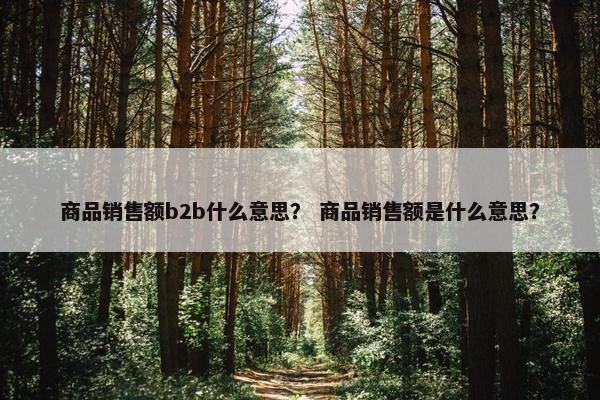 商品销售额b2b什么意思？ 商品销售额是什么意思？
