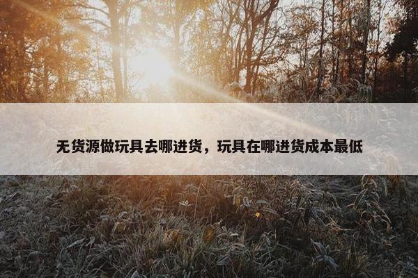 无货源做玩具去哪进货，玩具在哪进货成本最低