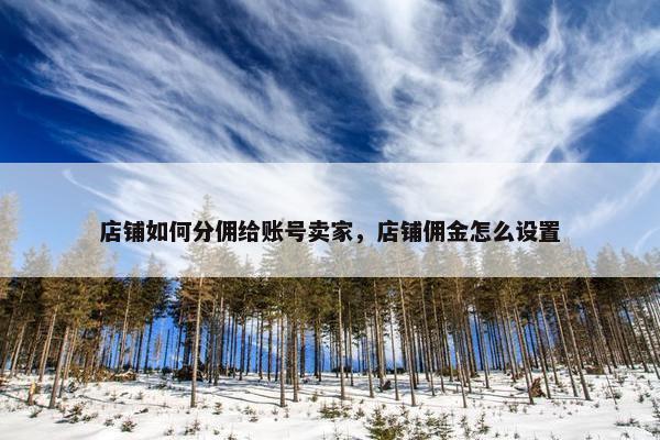 店铺如何分佣给账号卖家，店铺佣金怎么设置