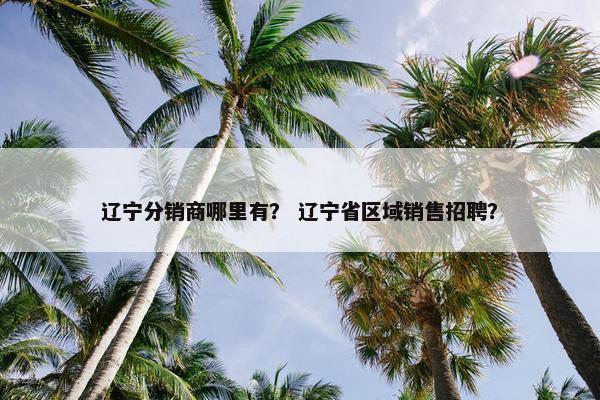 辽宁分销商哪里有？ 辽宁省区域销售招聘？