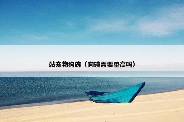 站宠物狗碗（狗碗需要垫高吗）