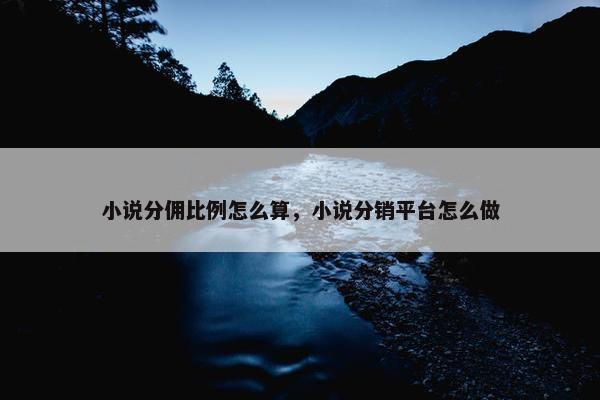 小说分佣比例怎么算，小说分销平台怎么做