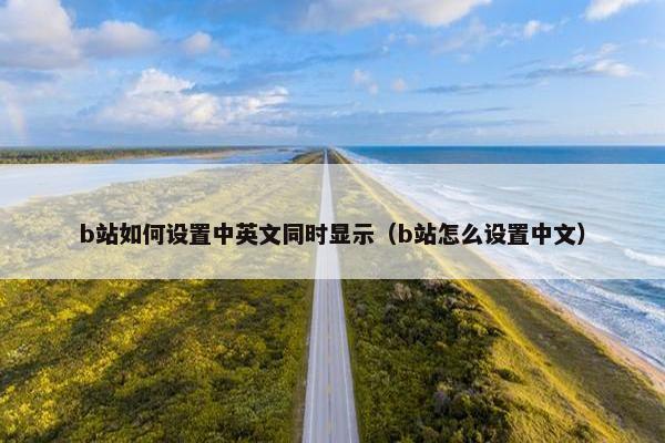 b站如何设置中英文同时显示（b站怎么设置中文）