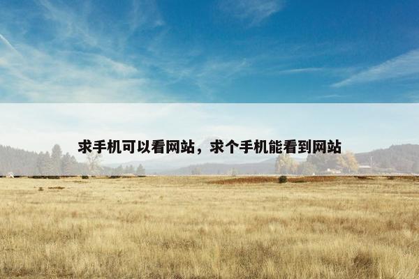 求手机可以看网站，求个手机能看到网站